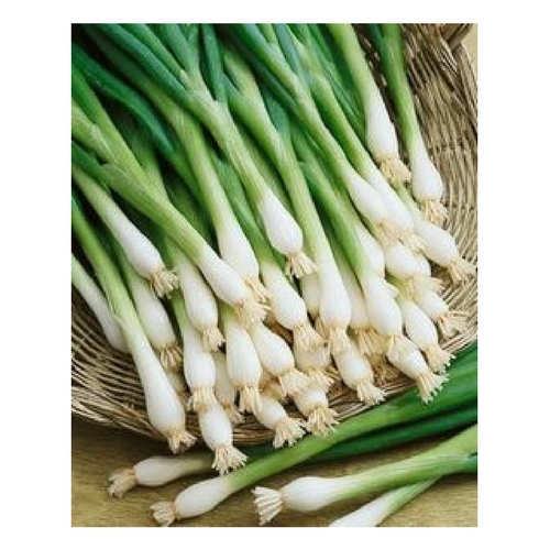 spring onion