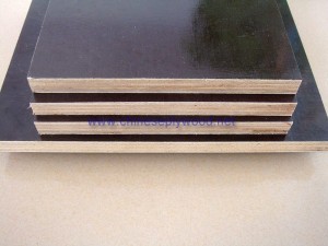 Shuttering Plywood