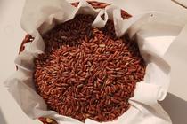 Red rice