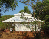 Party Indian Tent