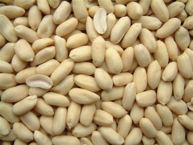 Blanched Whole Bold Peanuts