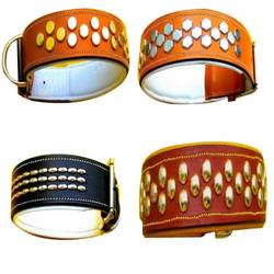 dog collars