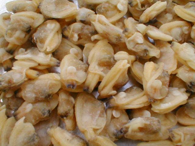 yellow clam meat