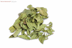 green leaf ingredients