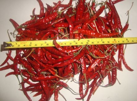 Red Dry Whole Chilli