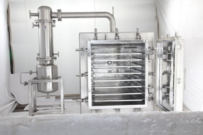 Vacuum Tray Dryer