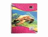 FIVE SUBJECT ASSORTED COLOR PAGES NOTEBOOK