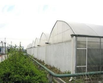 Green House films with Wide width