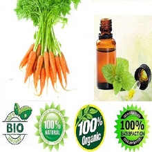 Carrot Seed Oil, for Cosmetic Healthcare, Certification : GMP, MSDS, ISO 9001 2008, Certificate of Analysis