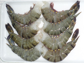 Baked Black Tiger Shrimps, Packaging Type : Box