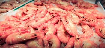 Frozen Pink Shrimp Canned Seafood, Packaging Type : Box
