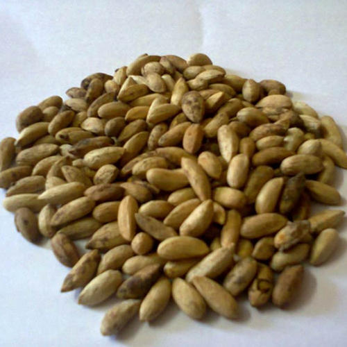 Organic Dried Neem Seeds, for Cosmetic, Medicine, Color : Brown