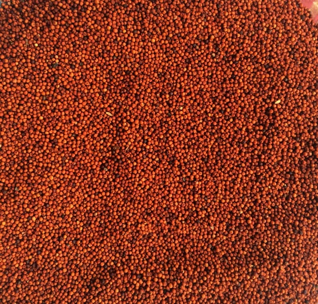 Red Millet Seeds, Style : Dried