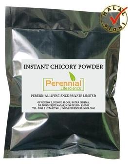 GMP Instant Chicory Powder