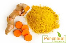 Turmeric Extract