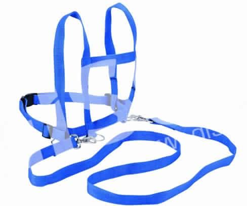 Roll Out Floor Lines