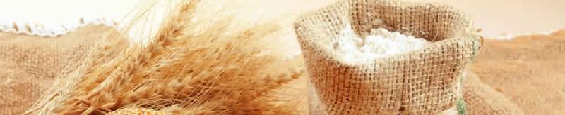Wheat flour, Shelf Life : 12 Months