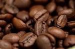 AA Grade coffee bean