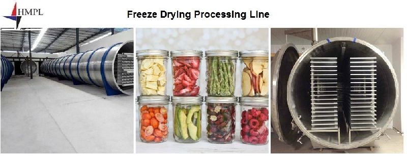 freeze drying machine