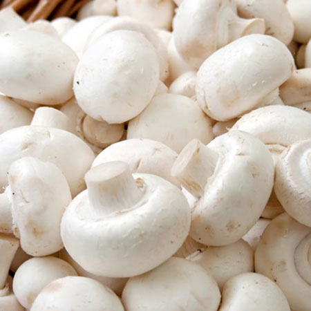 Common White Button Mushroom, for Cooking, Packaging Type : Plastic Container, Polythene Bag