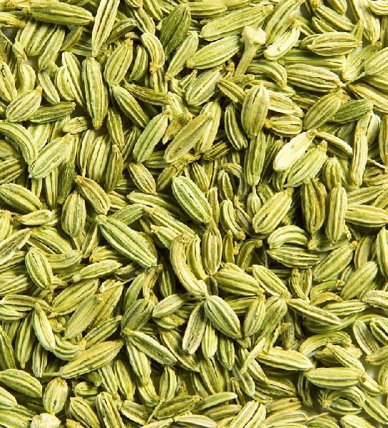 Fennel Seed Oleoresins