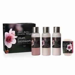 Aroma Magic Plum Blossom Travel Bath Collection