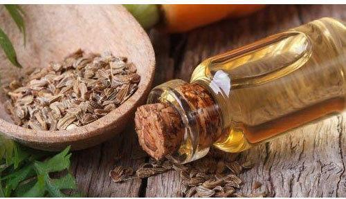 Seeds Ajowan Essential Oil, Shelf Life : 1year