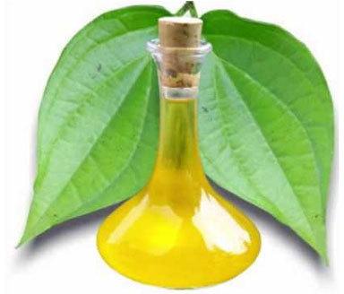 Betel Leaf Essential Oil, Feature : Antioxidant, Rich In Vitamin