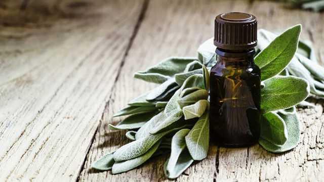 Sage Essential Oil, for Cosmetics, Medicines, Packaging Type : Glass Bottle