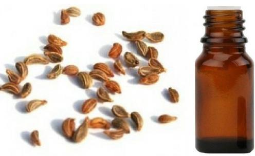Tomar Seed Essential Oil, for Medicine Use, Personal Care, Purity : 99.9%
