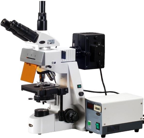 Fluorescence Microscope