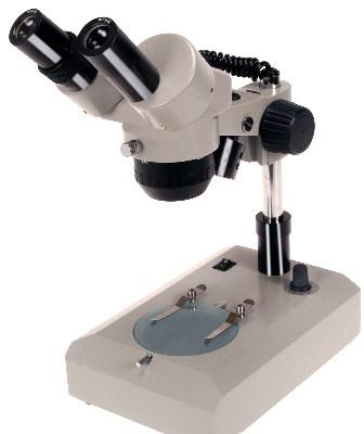 stereoscopic microscopes
