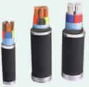PVC AND XLPE Insulated Power Cables