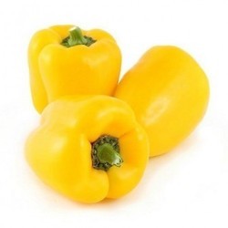 Organic Fresh Yellow Capsicum