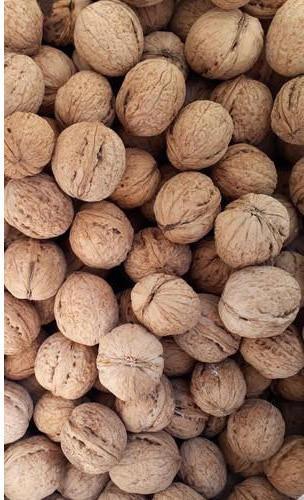 Soft Kashmiri Shell Walnuts, Packaging Size : 1kg
