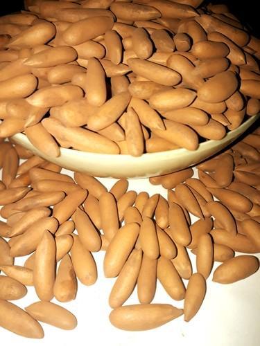 Pine Nuts, Packaging Type : Sacks