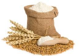 Fresh Wheat Flour, Grade : Food Grade
