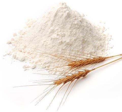 White Wheat Flour, Grade : Food Grade