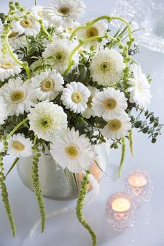 Decorative White Fiery Gerbera, for Gift, Decoration etc.