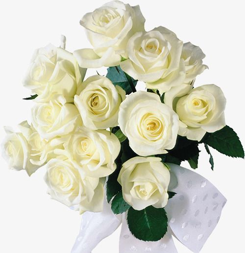 Decorative White Rose
