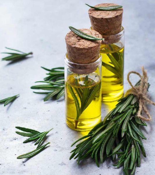 rosemary-oil-manufacturer-in-coimbatore-tamil-nadu-india-by-rehoboth