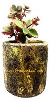 Terracotta Antique Succulent Pots, Color : Golden Black