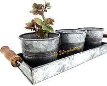 Three Antique Succulent pots