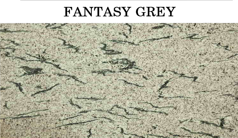 Plain Non Polioshed Fantasy Grey Granite, Size : 12x12ft, 12x16ft