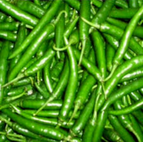 Fresh Organic Green Chilli