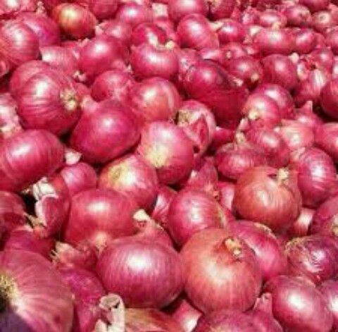 fresh red onion