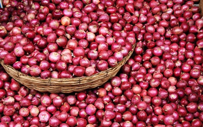 Round Organic Fresh Small Onion, for Human Consumption, Color : Red