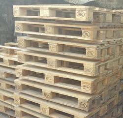 Square Pinewood Euro Pallets, Length : 2-20 Feet