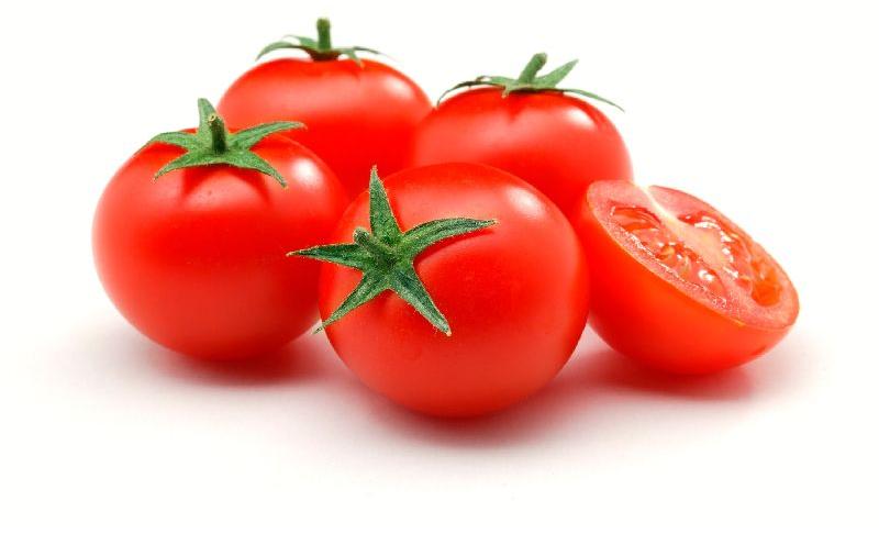 Organic fresh tomato, Shelf Life : 15 Days