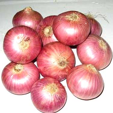 Round Organic fresh onion, for Cooking, Packaging Type : Jute Bags, Net Bags